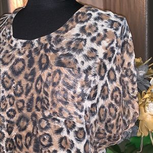Joie Leopard Sheer Top
